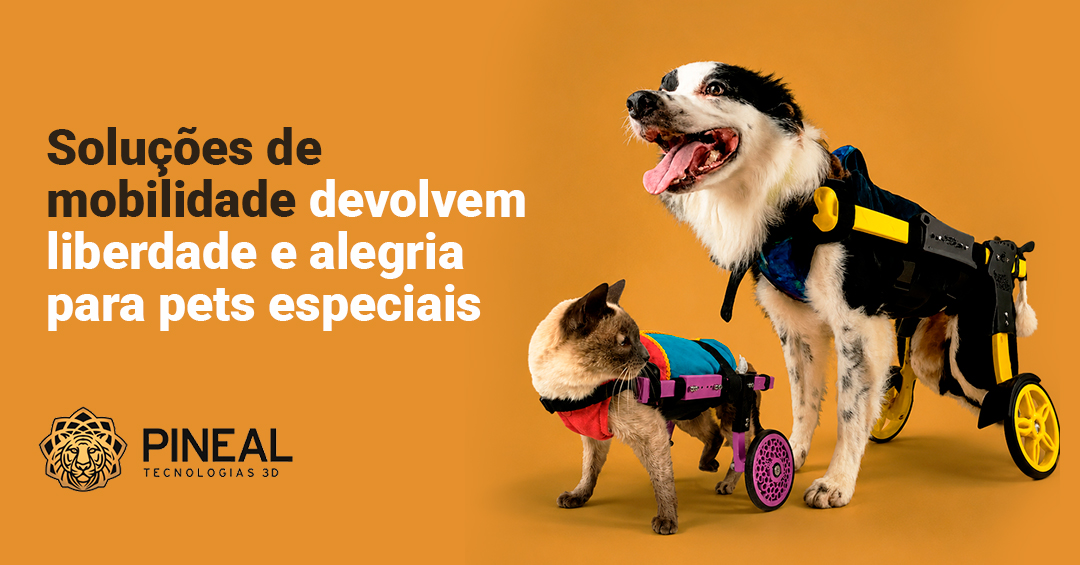Especialistas mostram como escolher soluções de mobilidade para pets especiais